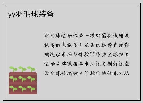 yy羽毛球装备