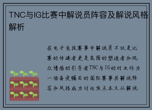 TNC与IG比赛中解说员阵容及解说风格解析